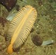 Thumbs/tn_DSechelt 059.jpg